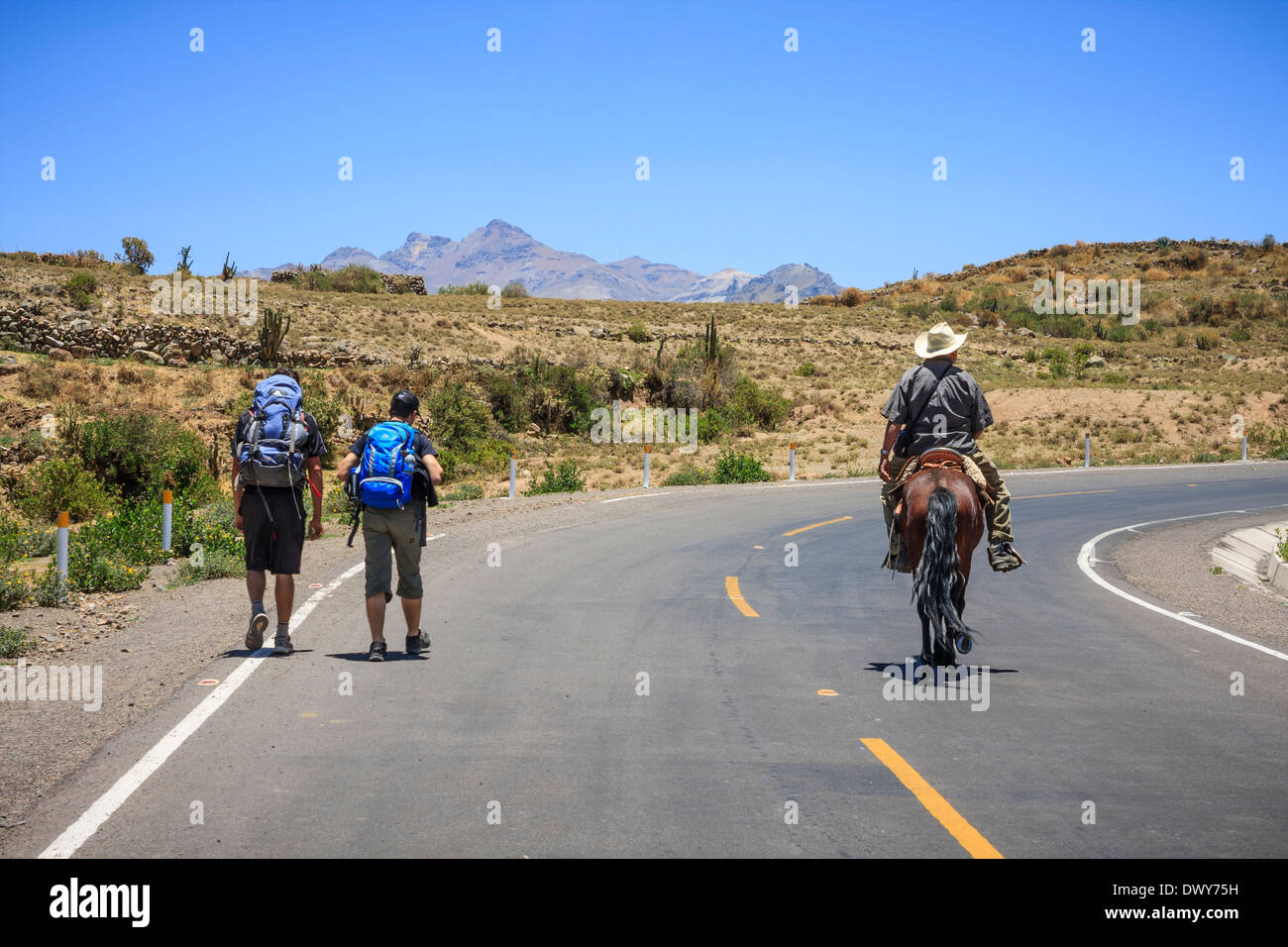 Backpacker en el camino hacia el Cañón del Colca a Cabanaconde, Perú Foto de stock