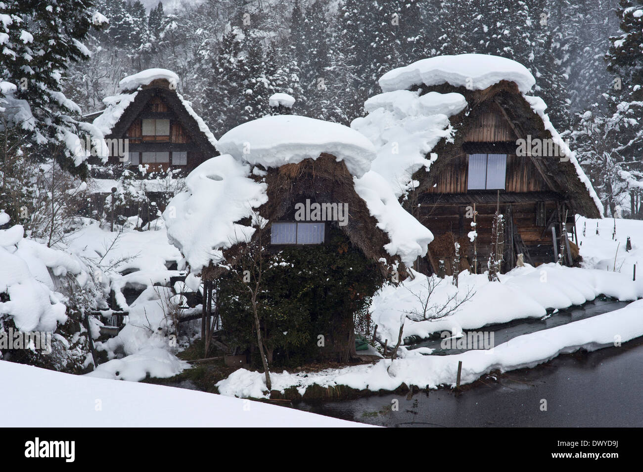 Shirakawa en nieve profunda, Ono gun, Prefectura de Gifu, Japón Foto de stock