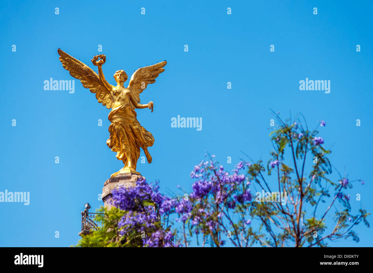 Color dorado Ángel de la independencia en la Ciudad de México Foto de stock