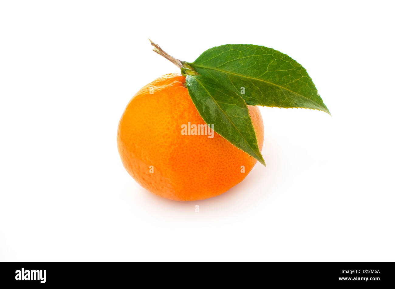 naranja mandarina Foto de stock