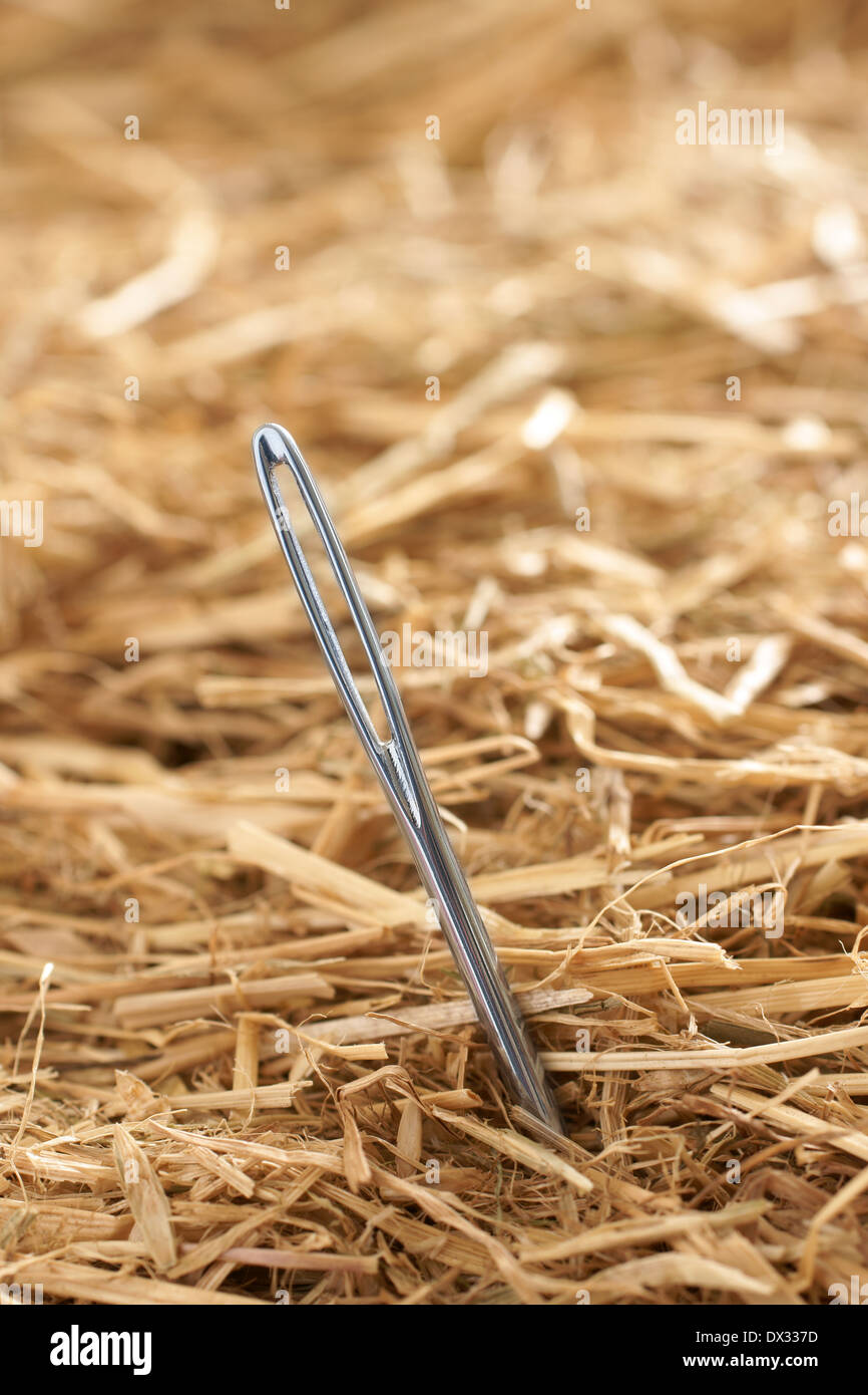 Encontrar una aguja en un pajar concepto Fotografía de stock - Alamy
