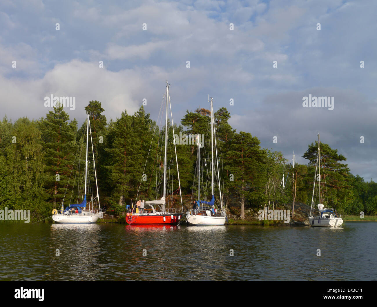 Gunviksviken en el lago Mälaren (malar), stockholms län, schweden Foto de stock