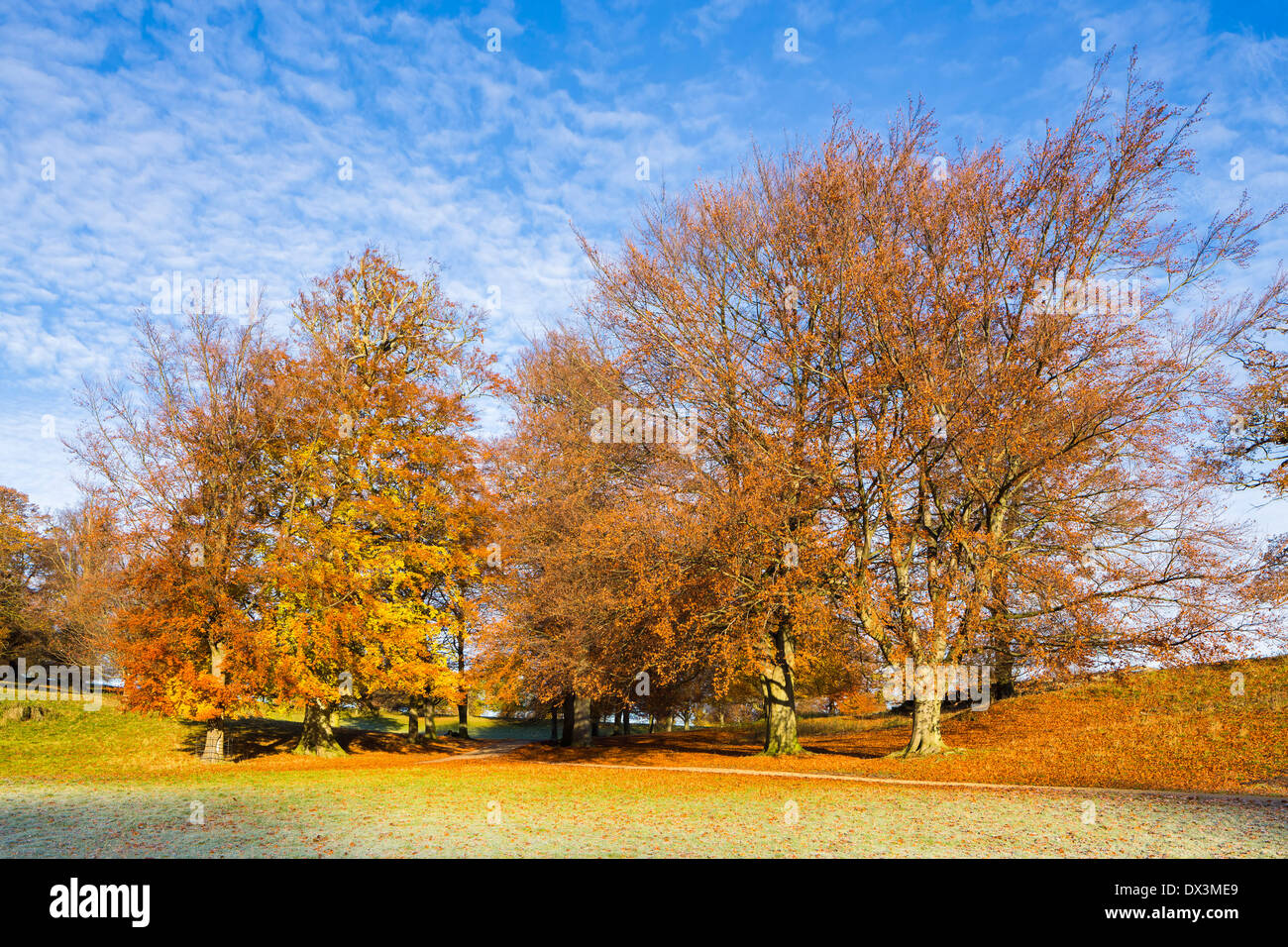 Studley Royal Park, Ripon, North Yorkshire. Foto de stock