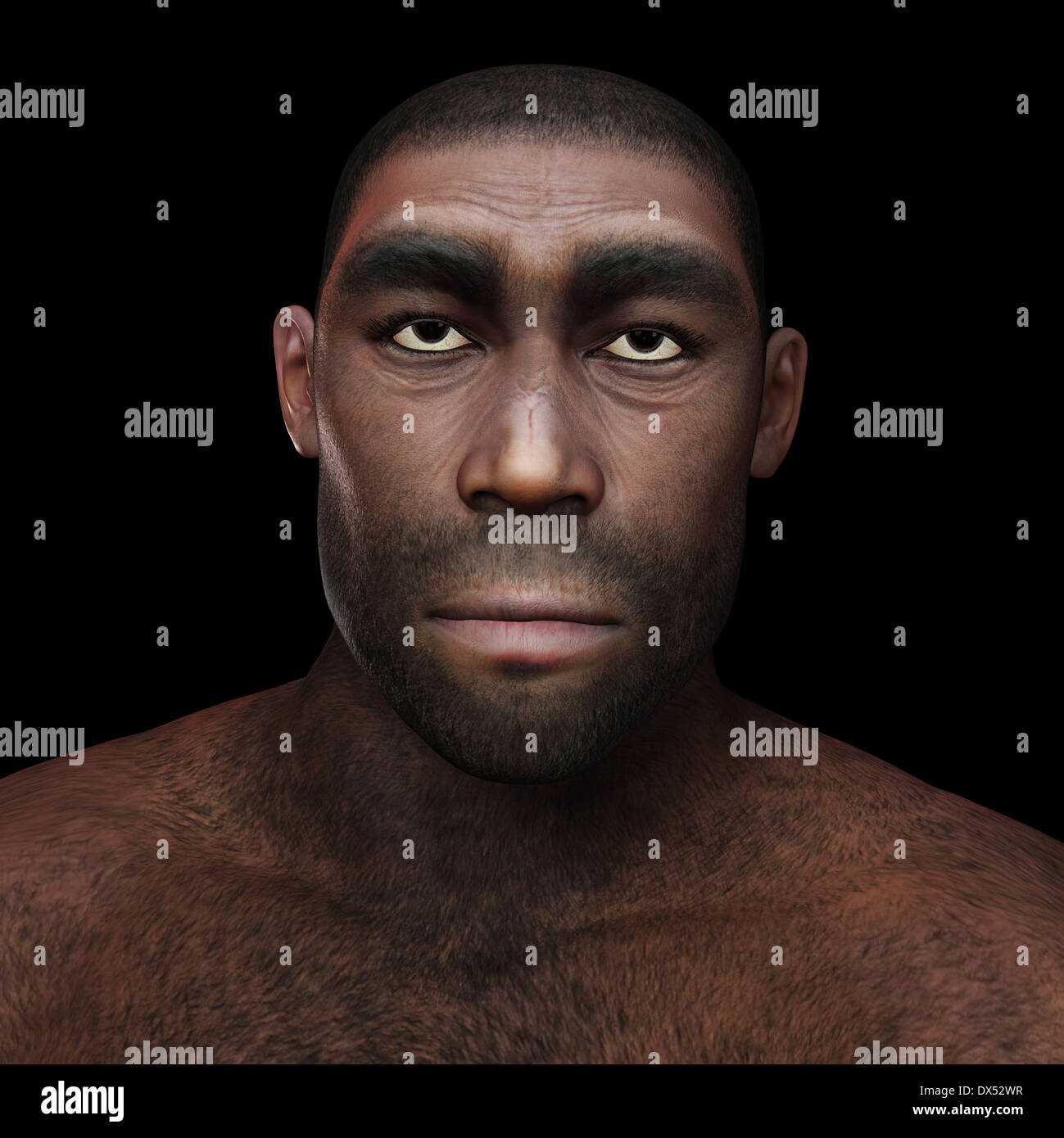 Ilustración digital de un Homo erectus Foto de stock