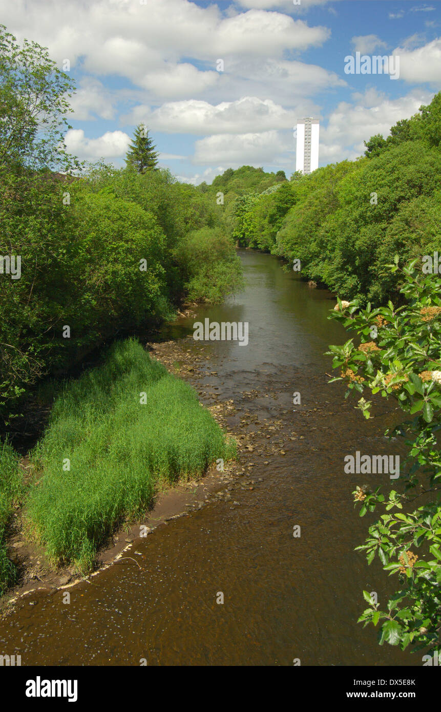 El Río Kelvin en Kelvindale en Glasgow, Escocia Foto de stock