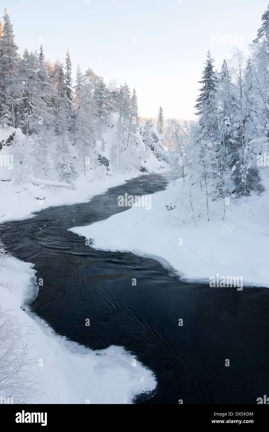 Río Negro en blanco bosque cubierto de nieve en invierno Foto de stock