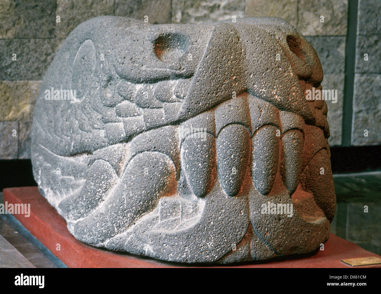 El arte precolombino de México. Los Aztecas. Cabeza de serpiente. Postclásico tardío (1325-1521 A.C.). Roca volcánica. Foto de stock