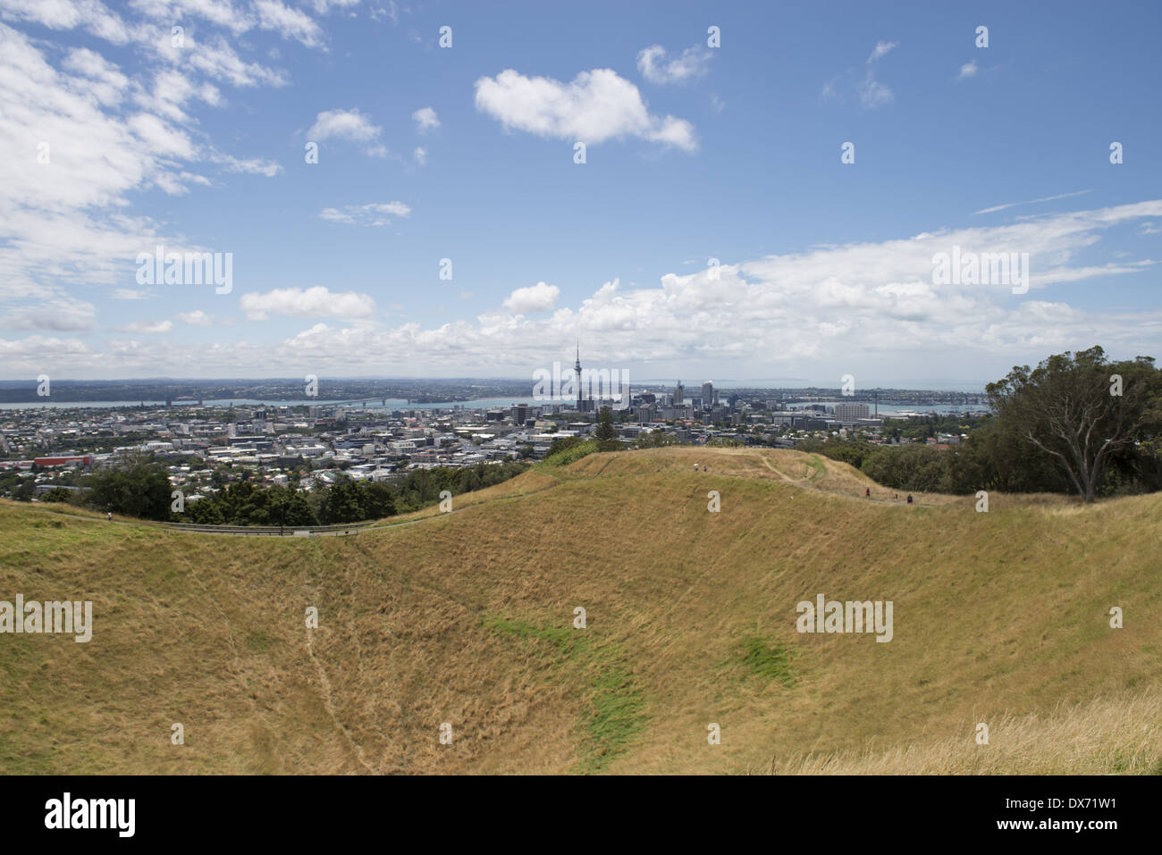 Vista de la ciudad de Mt Eden, que es el volcán más alto de Auckland, a 196m. Foto de stock