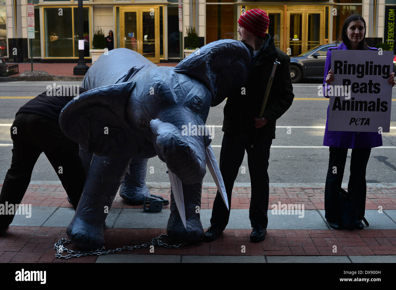 Washington DC, Estados Unidos. 20 de marzo de 2014. Peta activistas sostienen carteles durante una protesta contra el trato cruel de los elefantes, sincronizada con la llegada de los hermanos Ringling y Barnum & Bailey Circus en Washington el jueves. La protesta, que incluyó a manadas de elefantes inflables, fue organizada por Peta, gente para el Tratamiento Ético de los animales. (Crédito de la imagen: Crédito: Miguel Juárez Lugo/ZUMAPRESS.com/Alamy Live News) Foto de stock