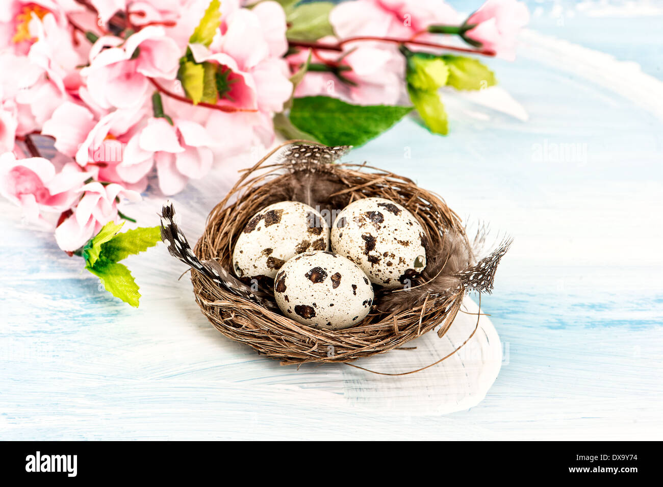 Decoración con flores de Pascua y huevos en el nido. Enfoque selectivo Foto de stock