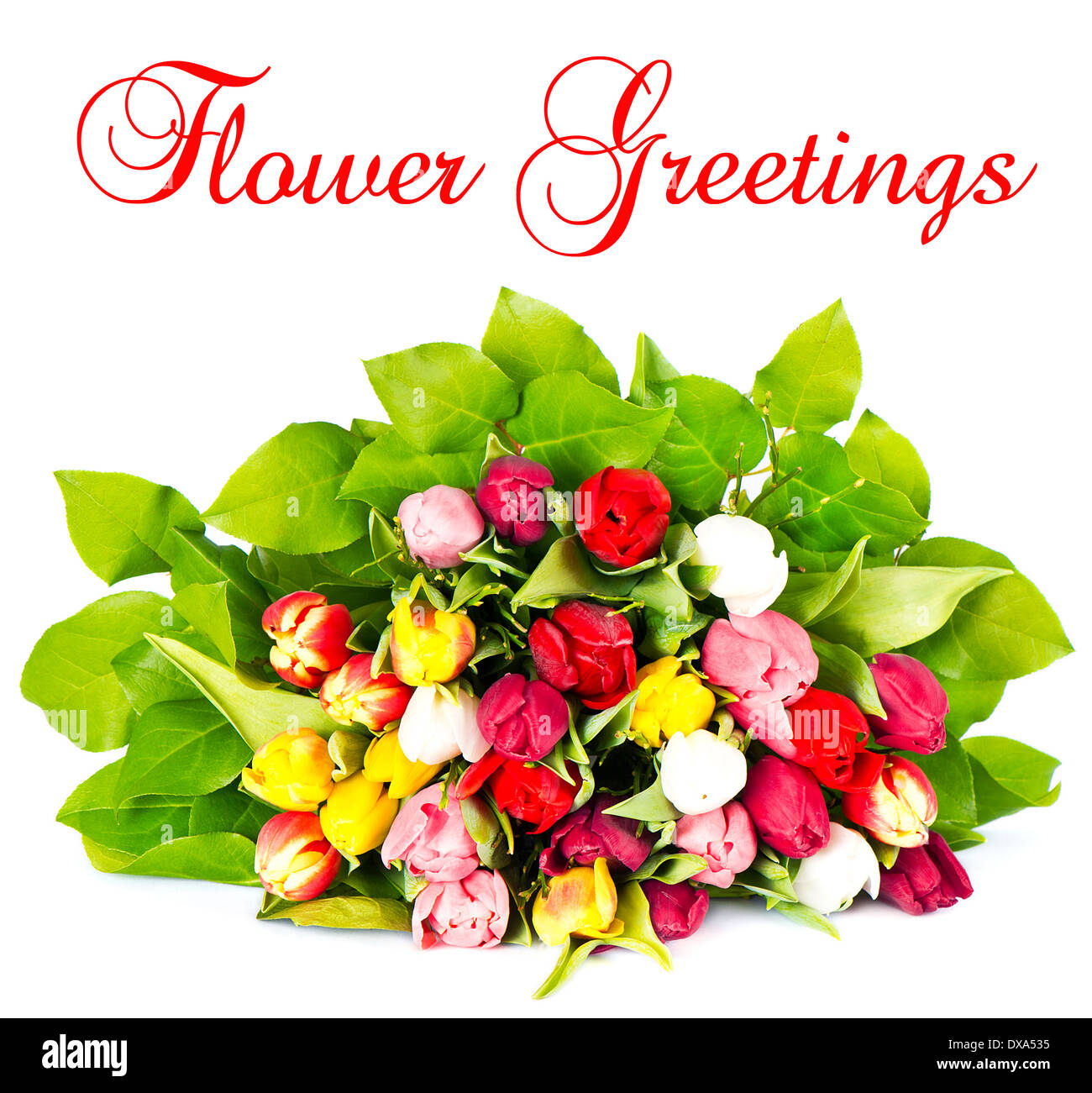 Saludos de flores fotografías e imágenes de alta resolución - Alamy