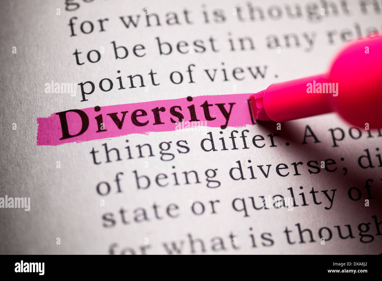 Diccionario de falsos, la definición de la palabra diversidad. Foto de stock