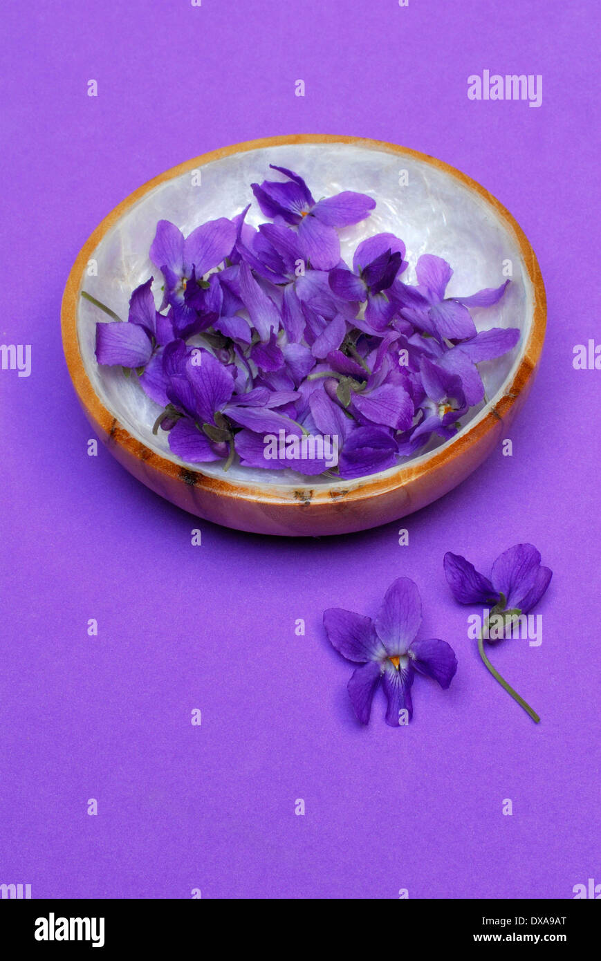 Dulce violeta Foto de stock