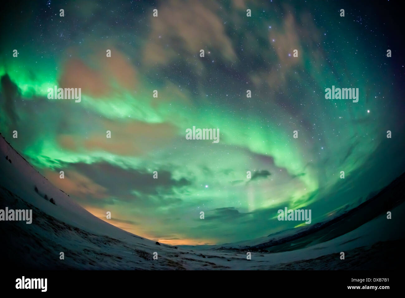 Un cielo llenando las Luces del Norte (Aurora Borealis) Mostrar más Abisko, en el norte de Suecia. ISO alta - contiene ruido. Foto de stock
