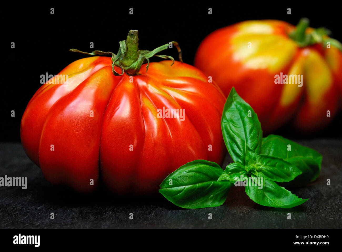 Tomate Foto de stock