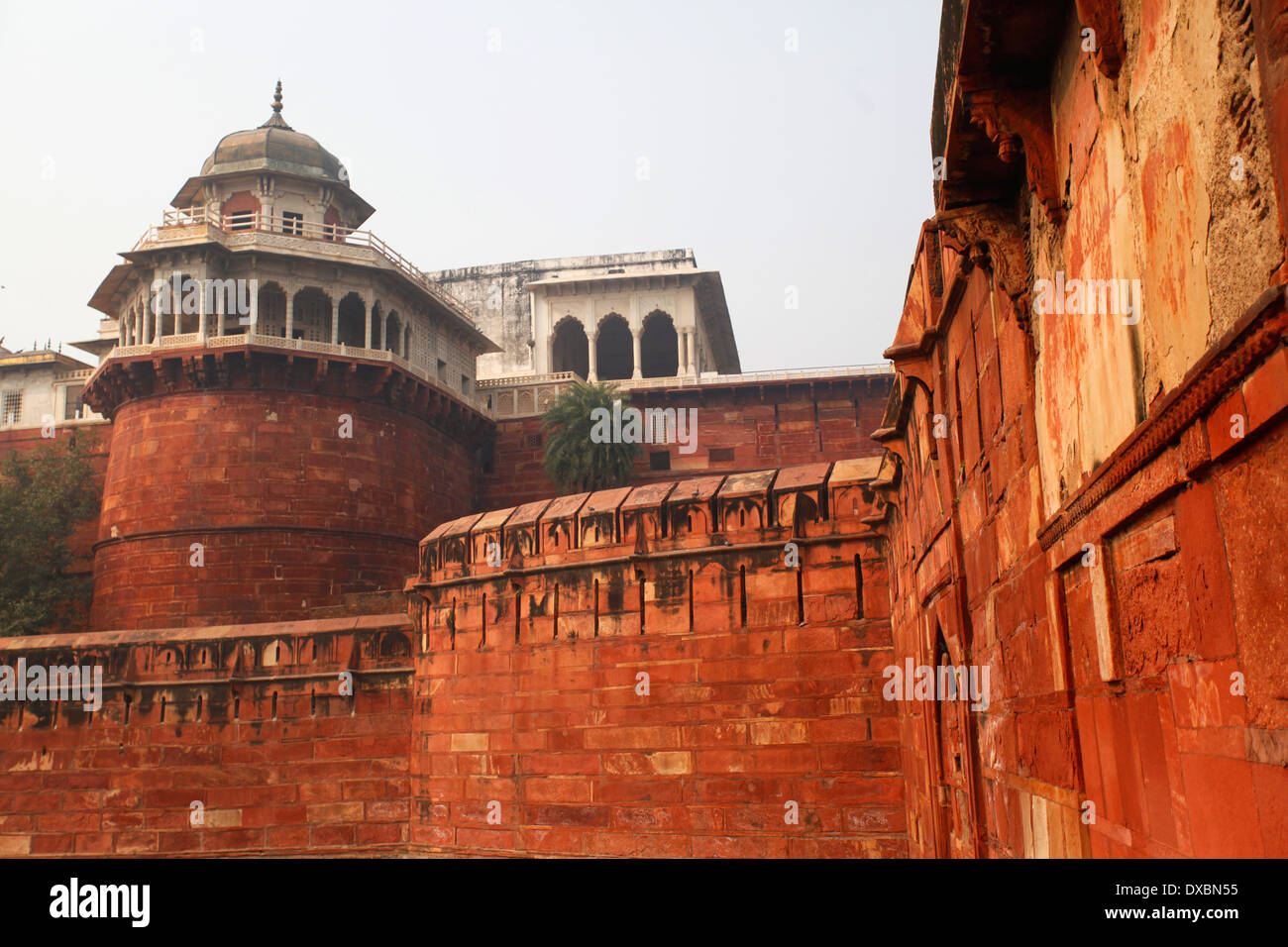 Detalle de la "fortaleza roja" en las paredes. Agra, Uttar Pradesh, India. Foto de stock