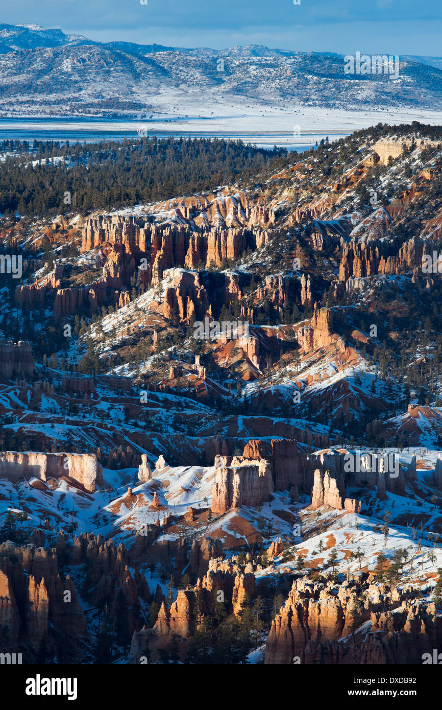 La última luz sobre la Hoodoos de Bryce Canyon, Utah, EE.UU. Foto de stock