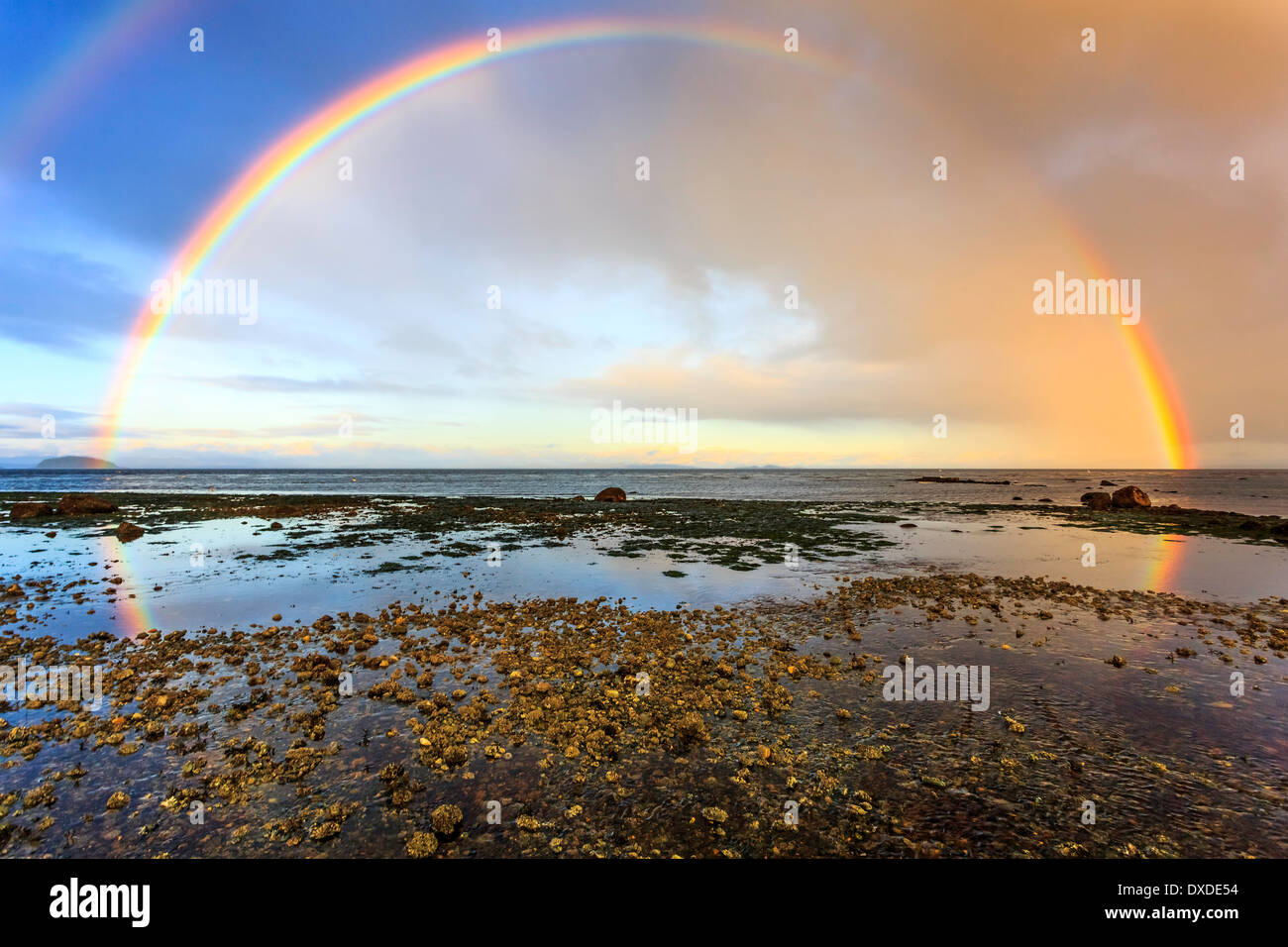 Un doble arco iris se refleja en las pozas de agua en una playa de la costa oeste. Foto de stock