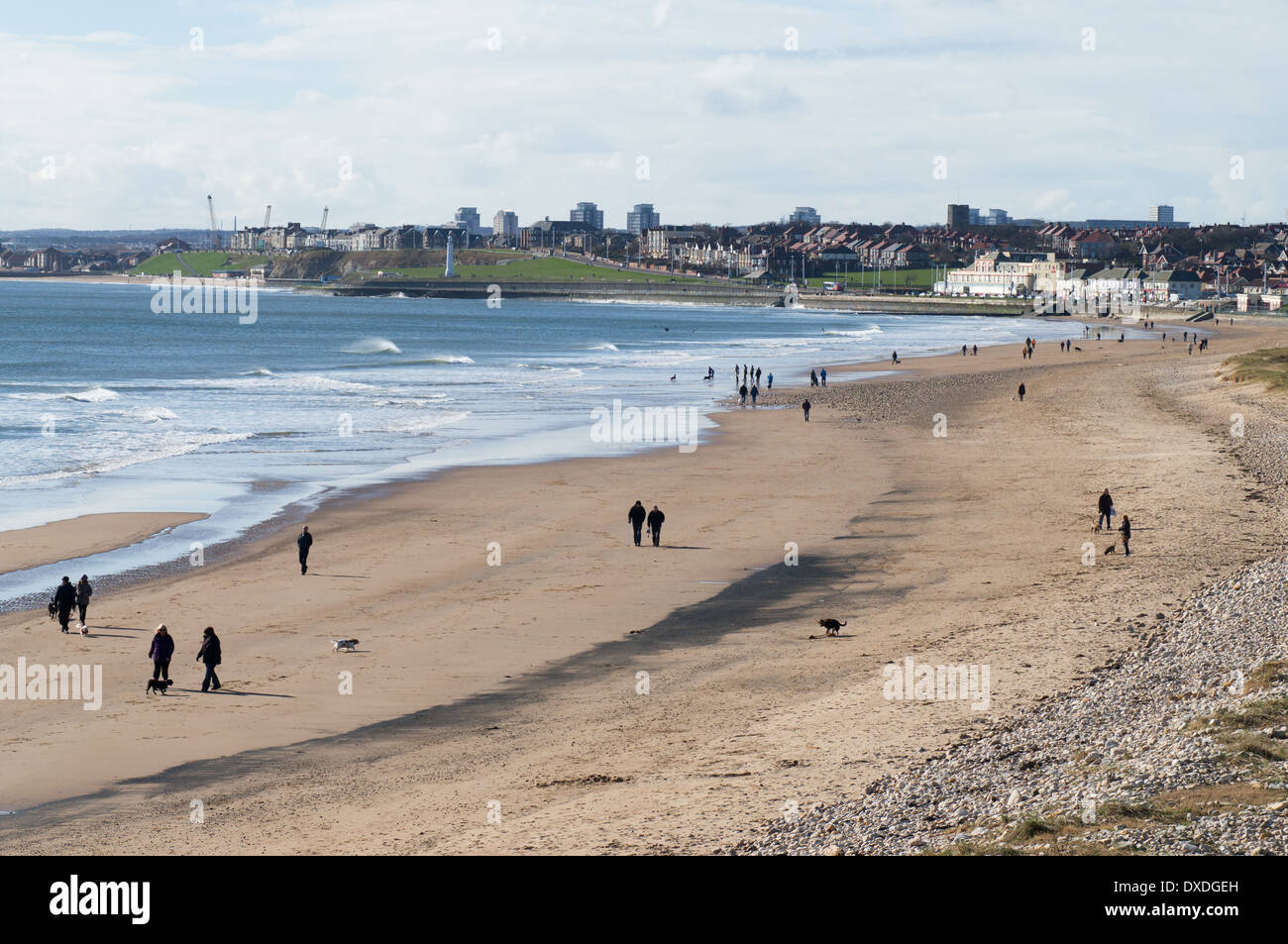 La gente paseando a perros a lo largo de la playa en Seaburn, Sunderland, al noreste de Inglaterra de marzo de 2014 Foto de stock