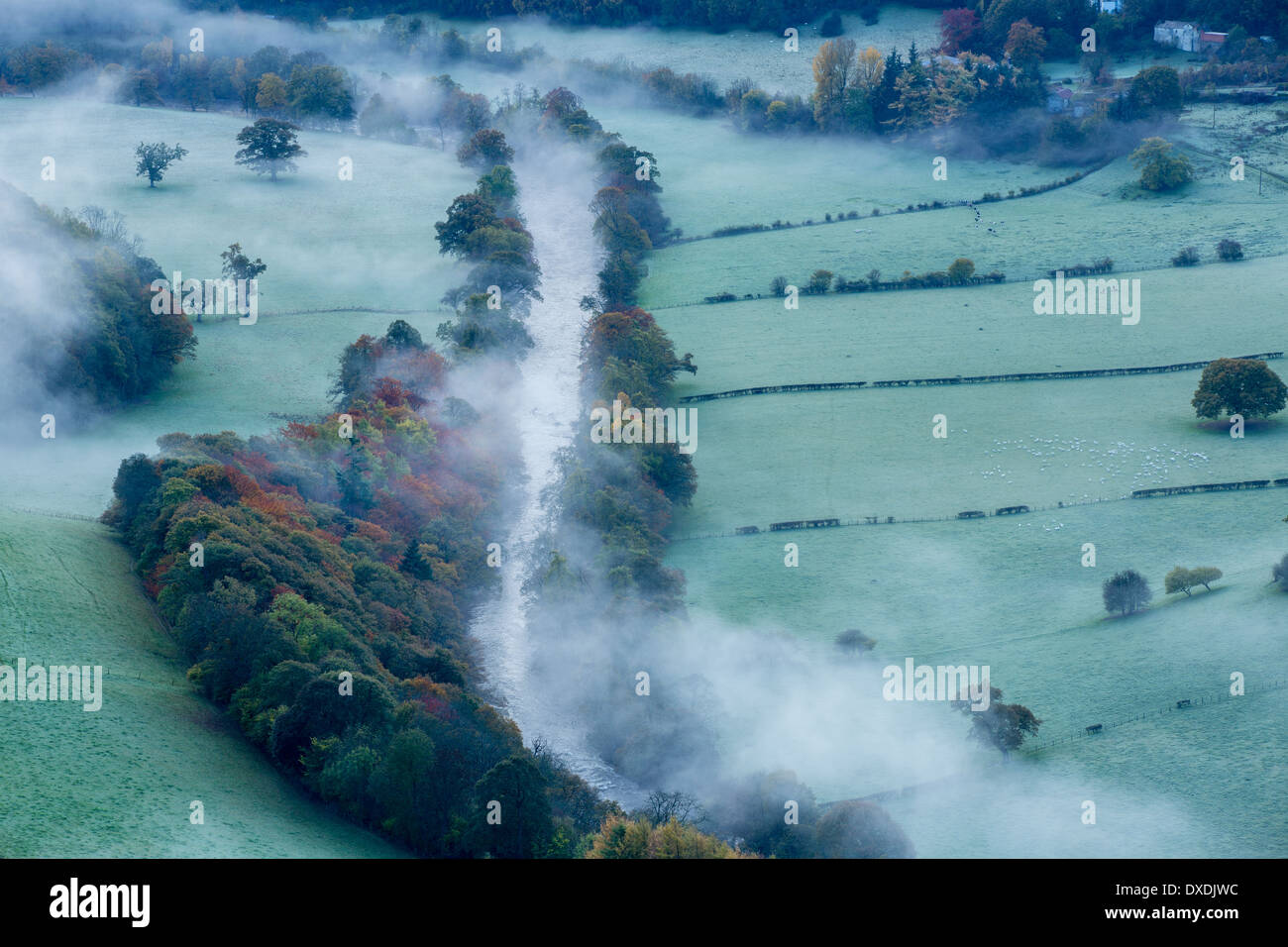 Los colores de otoño y niebla en el Dee Valley (Dyffryn Dyfrdwy) cerca de Llangollen, Denbighshire, Gales Foto de stock