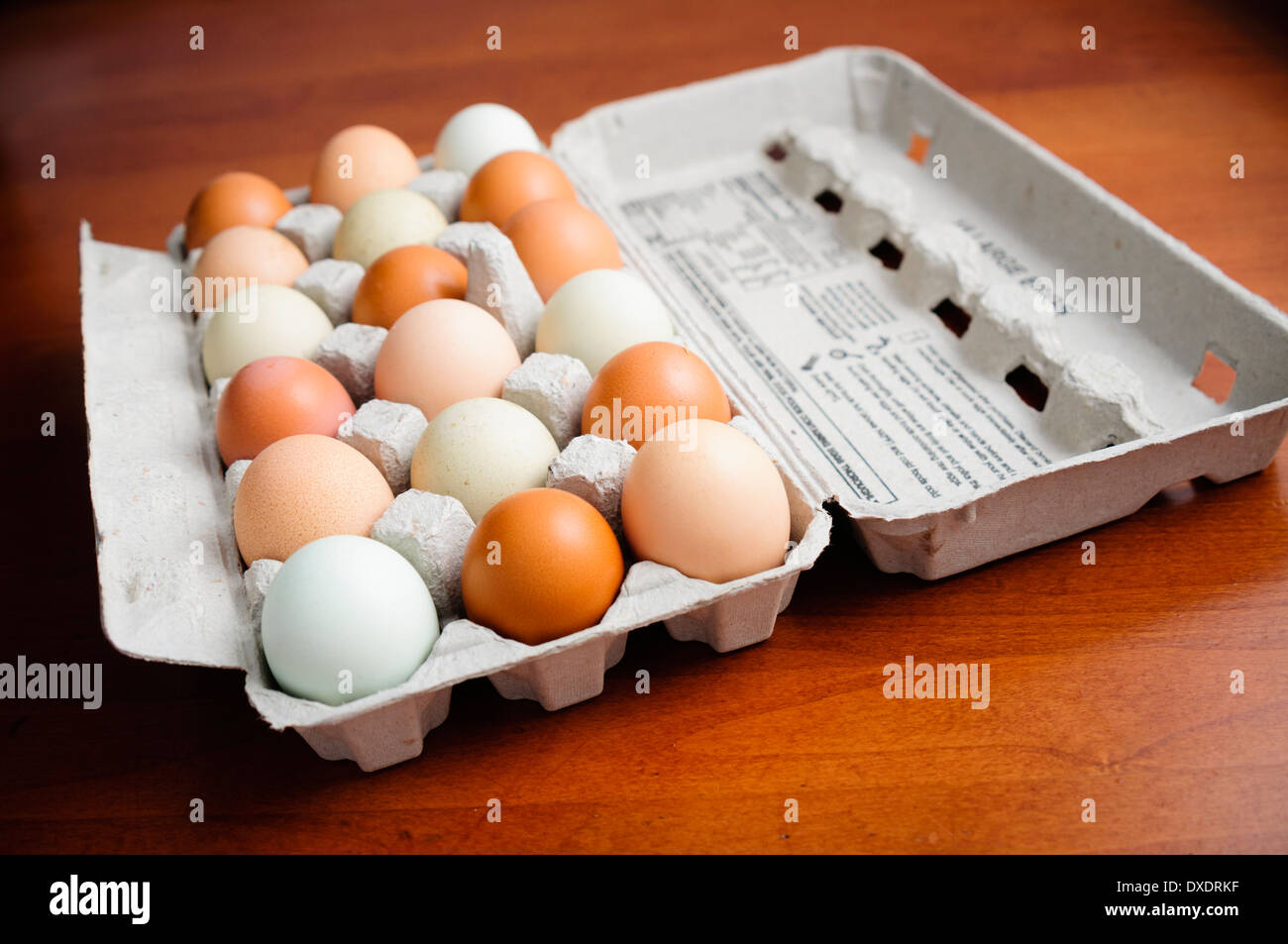 Cartón de 18 coloridos huevos Foto de stock