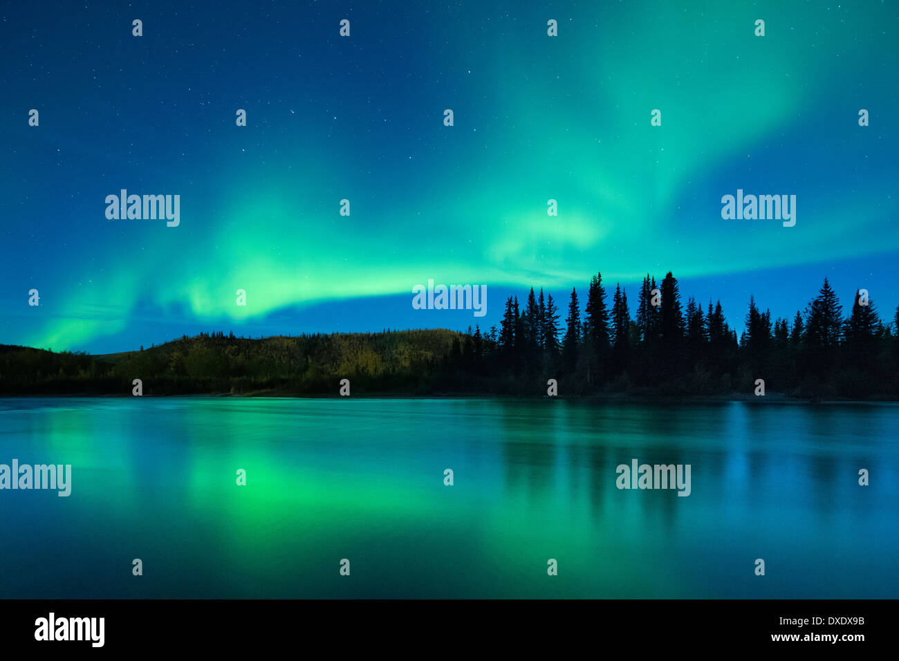 El Aurora Borealis (Luces del Norte) sobre el río Klondike, territorios