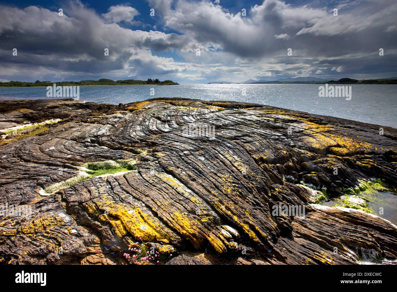 Geología: Phyllites plegada en el extremo sur de Isle of Eriska Foto de stock