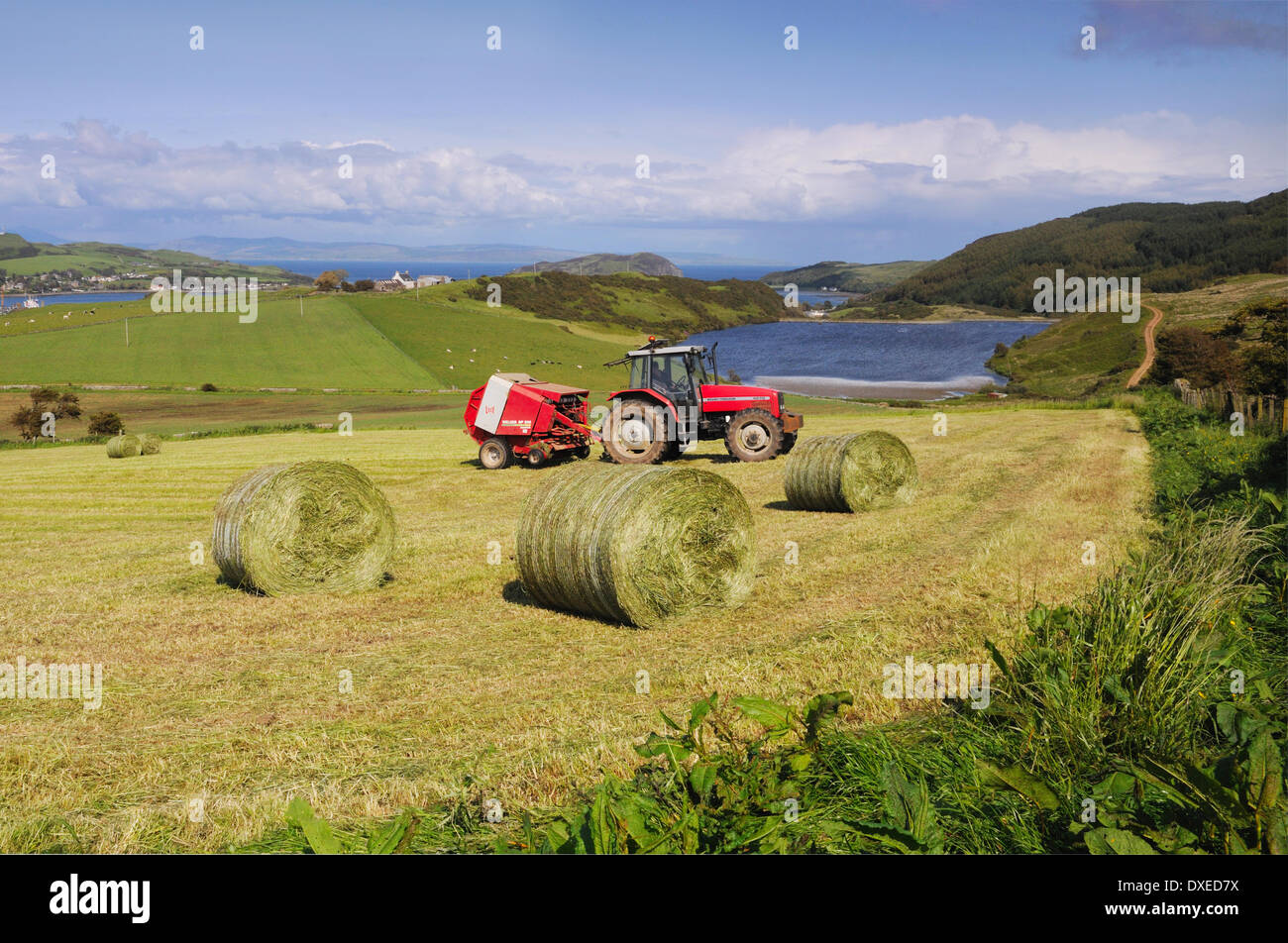 La agricultura fuera de Campbeltown,, Argyll Kintyre Foto de stock