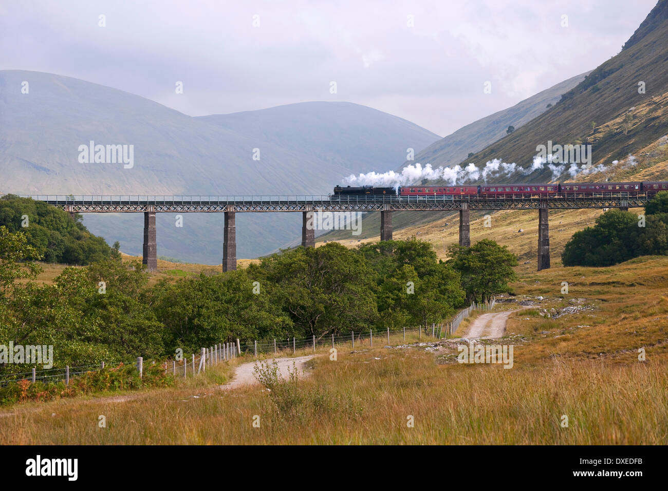 Gran Marqués loco cruza el viaducto de herradura, Nr Tyndrum, West Highland Line. Foto de stock