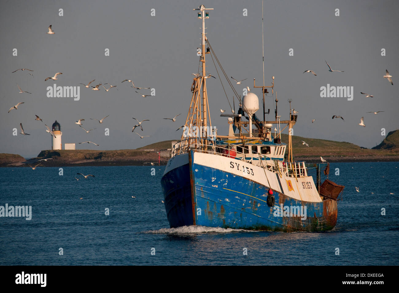 Barco de pesca escocés vuelve a Stornoway harbour,isla de Lewis.Hébridas. Foto de stock