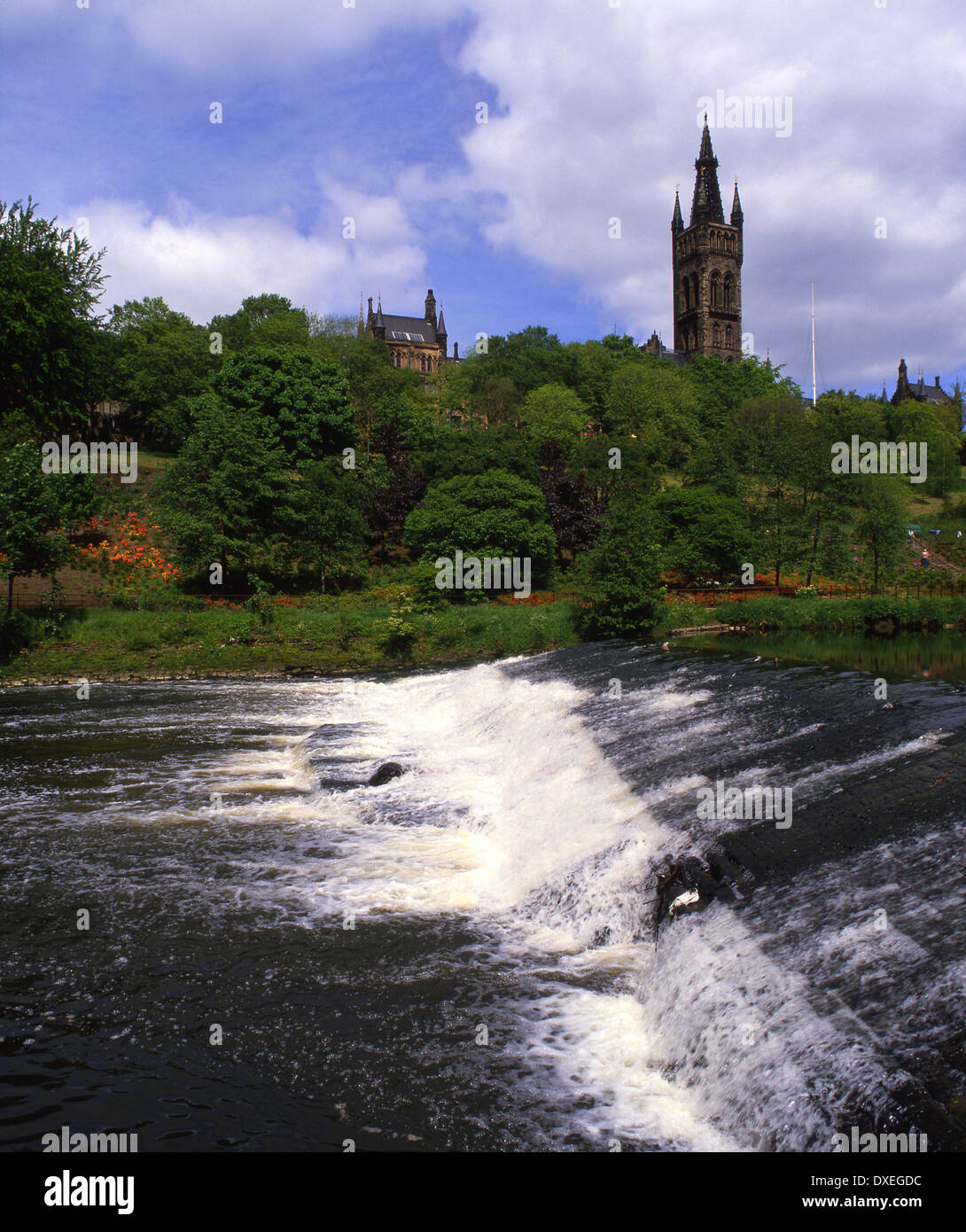 Universidad de Glasgow de la torre del parque Kelvingrove, Glasgow Foto de stock