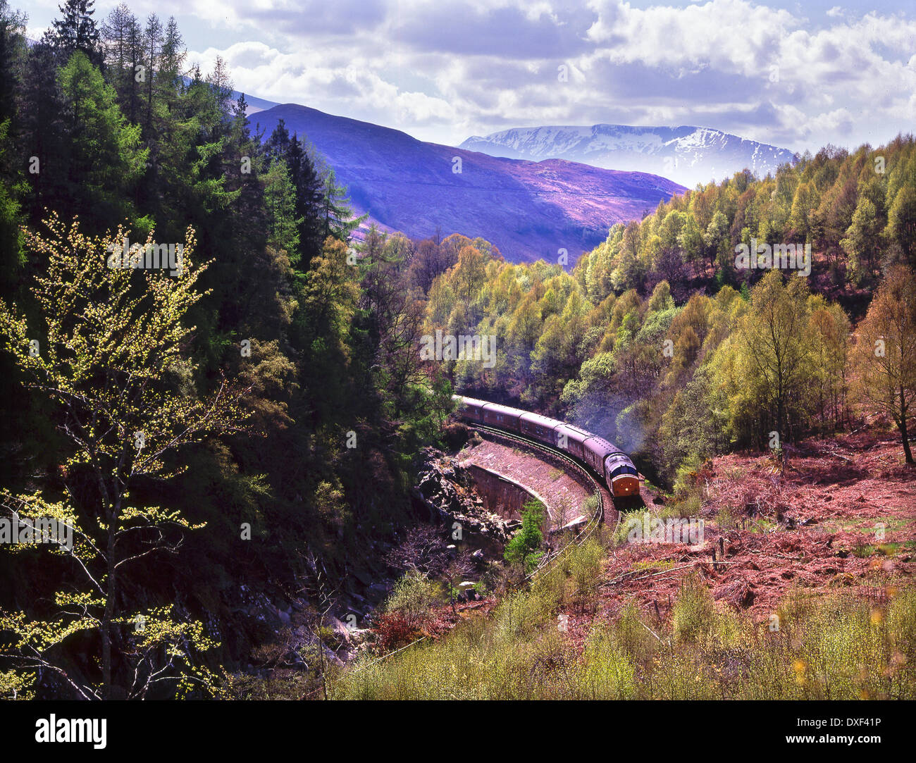 Clase 37 deisel acarreando el Royal scotsman a través del Monessie Gorge en el West Highland line.Glen Spean cerca Roybridge. Foto de stock