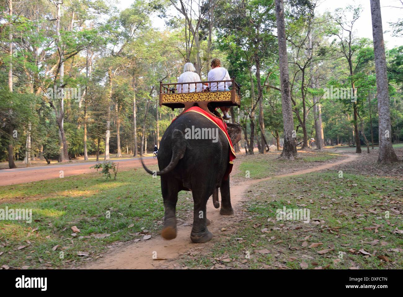 Dos mujeres turistas tomando un paseo en elefante alrededor de las ruinas de los templos de Camboya, el famoso Angkor Wat, Siem Reap, Camboya Foto de stock