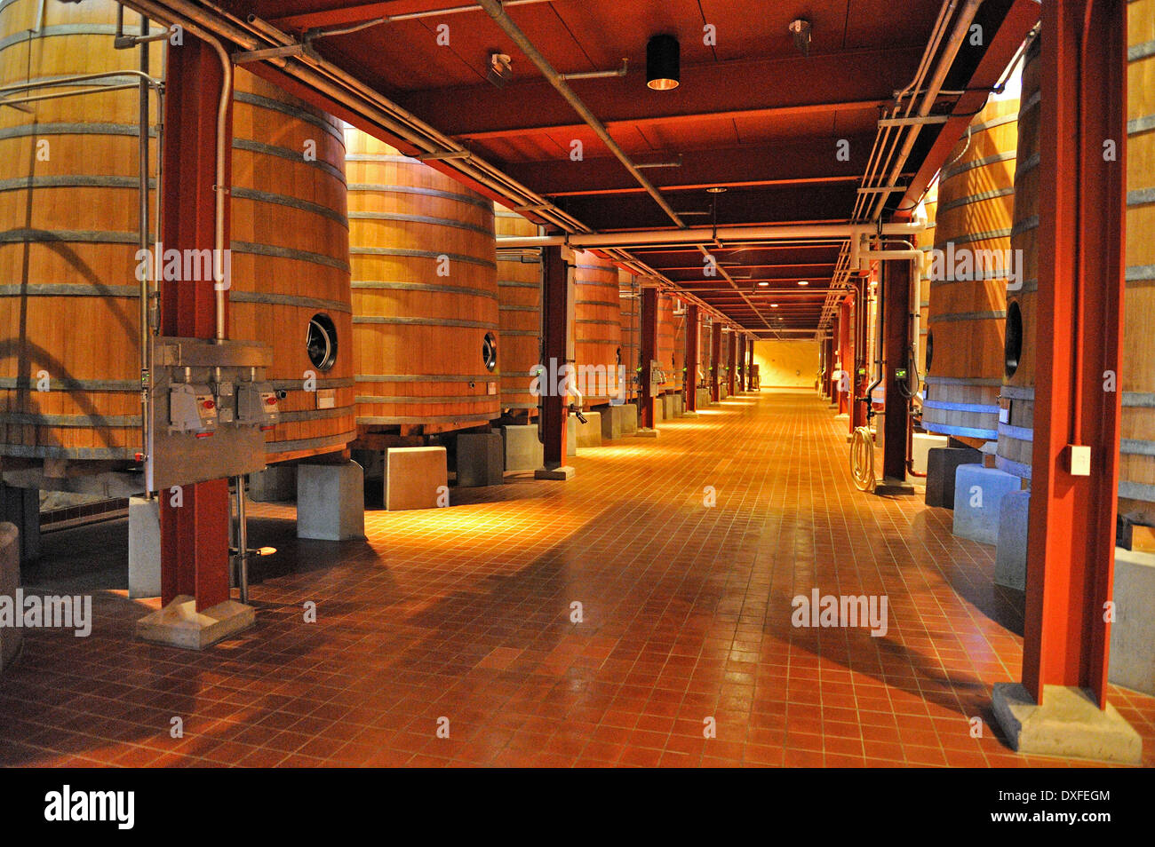 Barriles de fermentación de roble, Robert Mondavi Winery, Napa Valley, California, EE.UU. Foto de stock