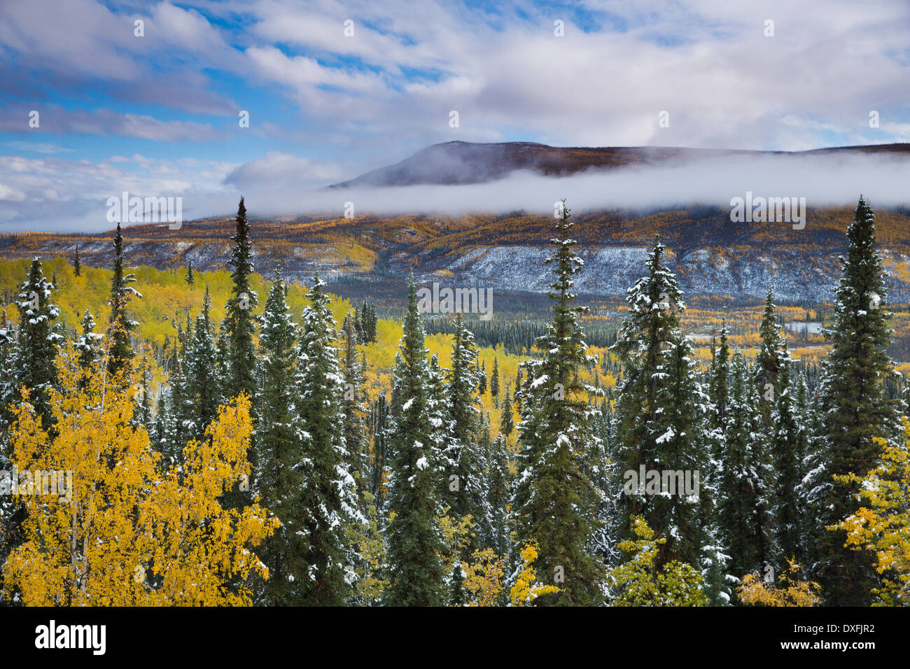 Los colores de otoño y las primeras nieves en el valle del río Stewart, los Territorios del Yukón, Canadá Foto de stock