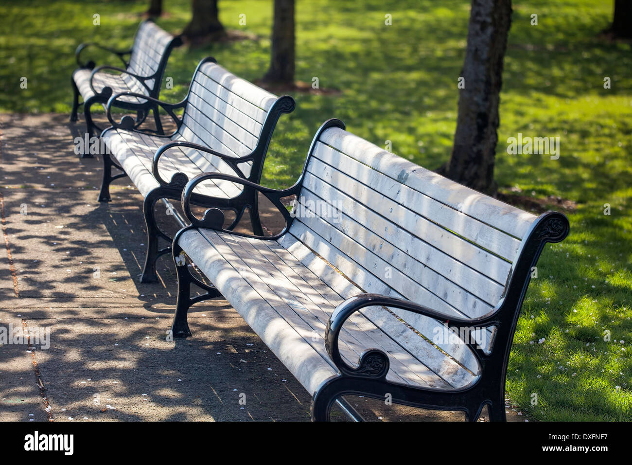 Fila de los bancos del parque en el centro de Portland Oregon Waterfront  Park Fotografía de stock - Alamy