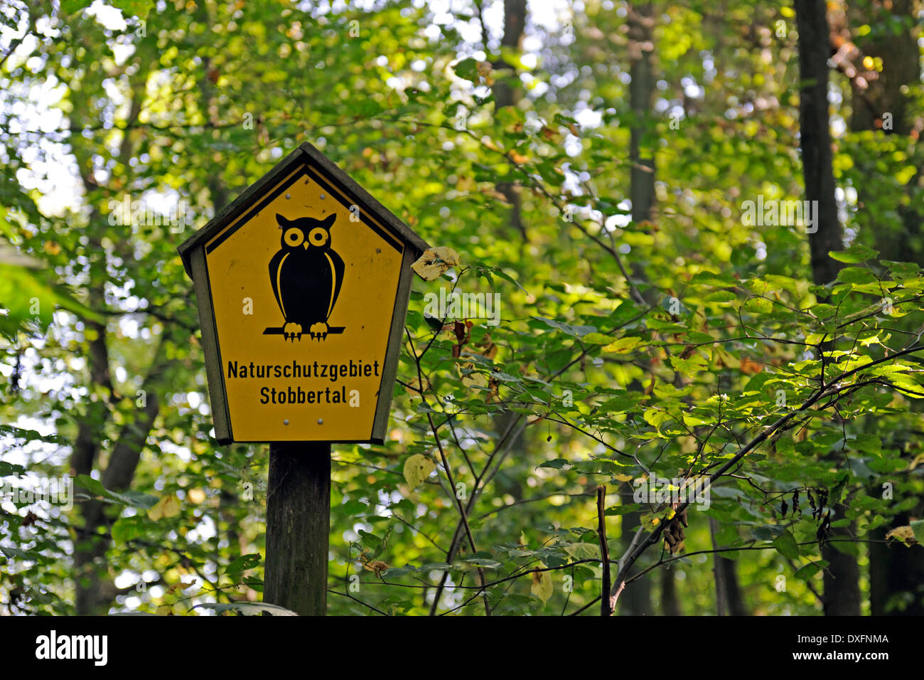 Naturschutzgebiet sign signo de reserva natural reserva natural Stobbertal Markische Schweiz Brandenburg Alemania / (Quercus spec). Foto de stock