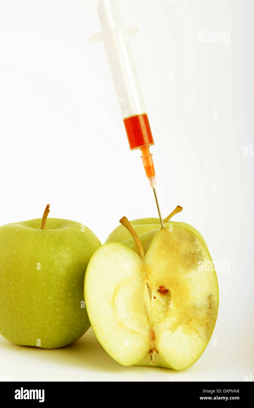 Jeringa pegada en apple / alimentos genéticamente modificados genéticamente modificadas, las manzanas Foto de stock