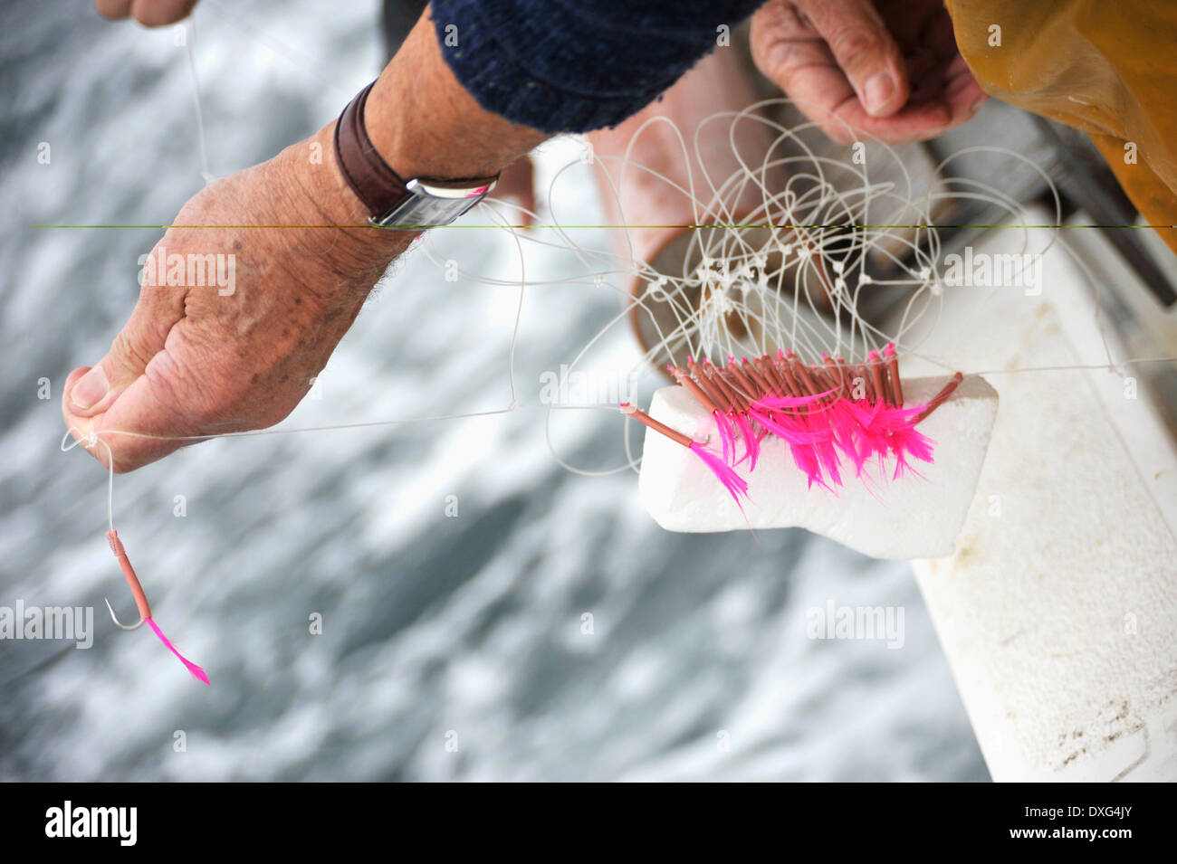 La captura de peces utilizando el método de línea sostenible Foto de stock