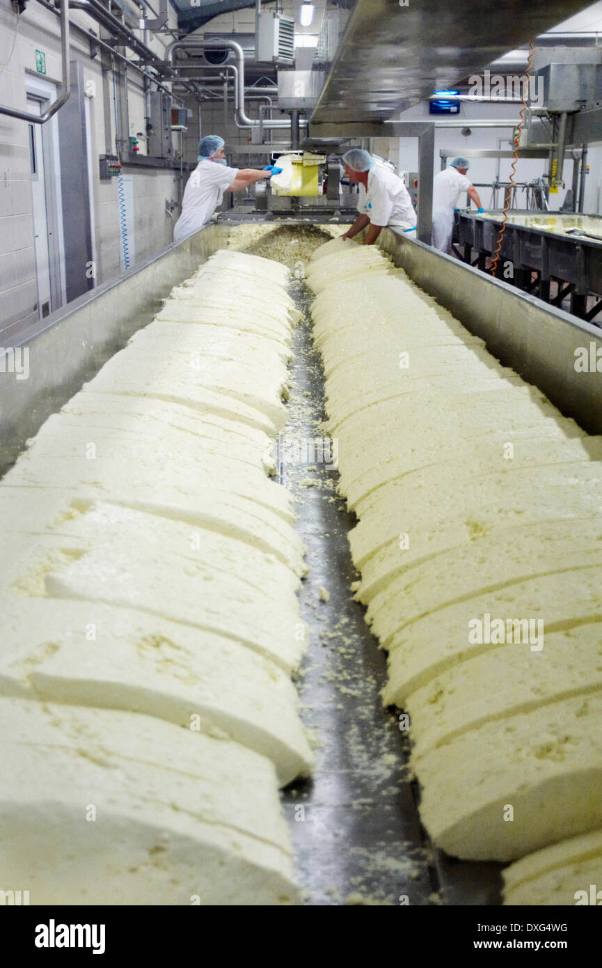 Interior de la fábrica de elaboración de queso con los trabajadores Foto de stock