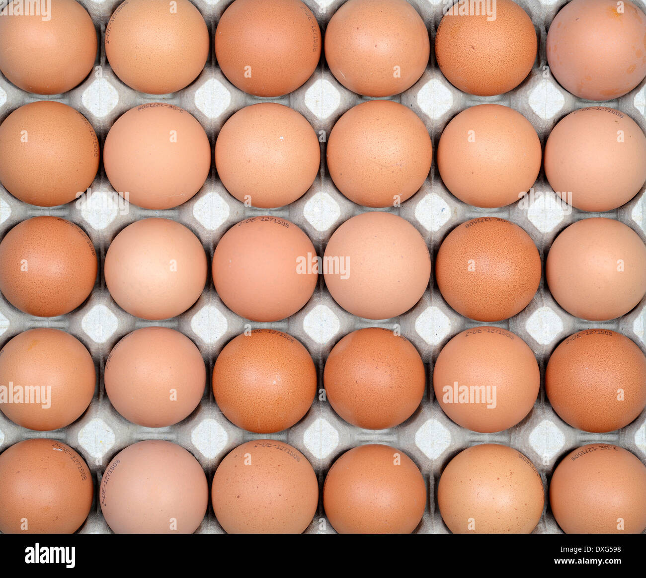 Los huevos de gallina, marrón Foto de stock