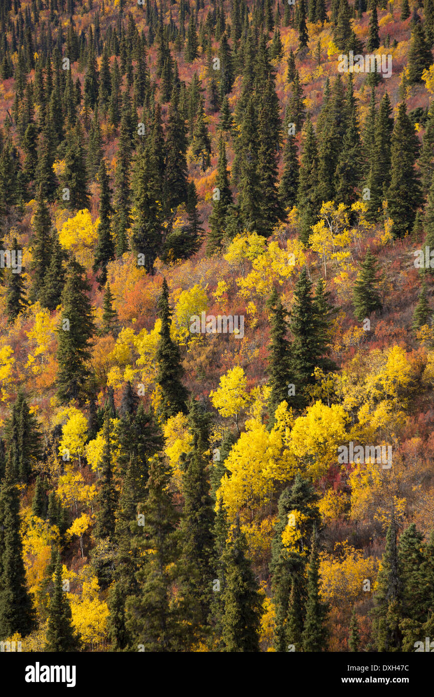 Colores del Otoño en la cima del mundo la autopista, los Territorios del Yukón, Canadá Foto de stock