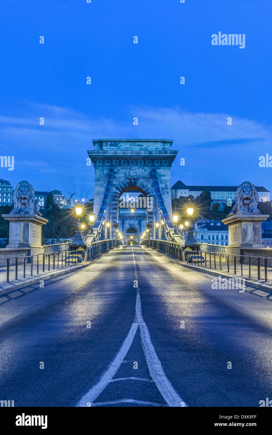 León estatuas iluminadas y lámparas de calle junto al Puente de las cadenas, Budapest, Hungría Foto de stock