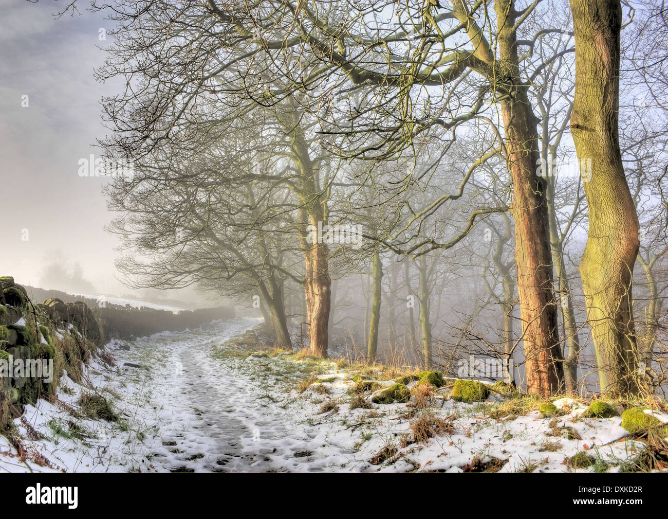 Sendero cubierto de nieve a través de bosques cerca de Hebden Bridge West Yorkshire, Reino Unido Foto de stock