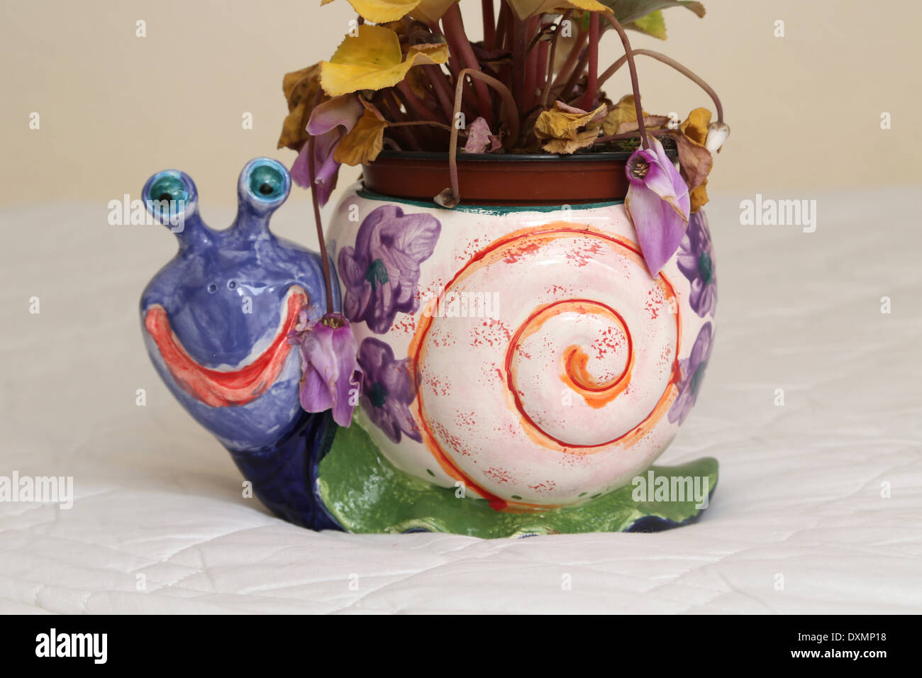 Cyclamen planta en un caracol potholder pintados a mano por niña de 9 años Foto de stock