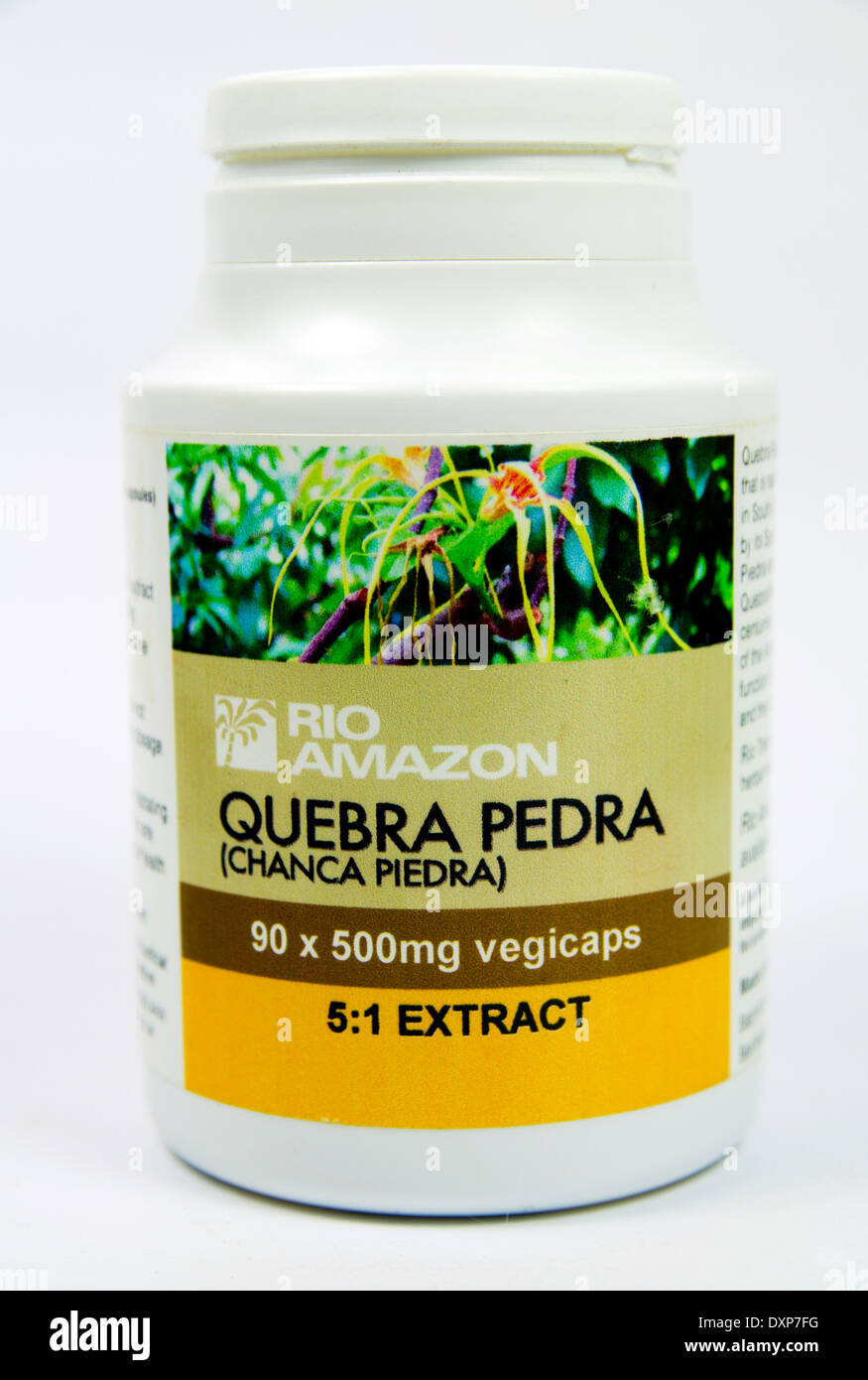 Quebra Pedra remedio de hierbas del Amazonas utilizado para tratar los cálculos renales y problemas de la vesícula biliar. Foto de stock