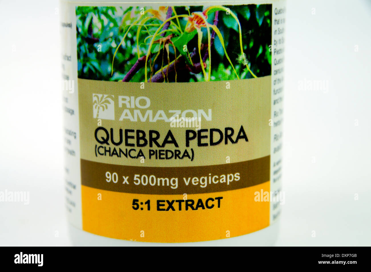 Quebra Pedra remedio de hierbas del Amazonas utilizado para tratar los cálculos renales y problemas de la vesícula biliar. Foto de stock