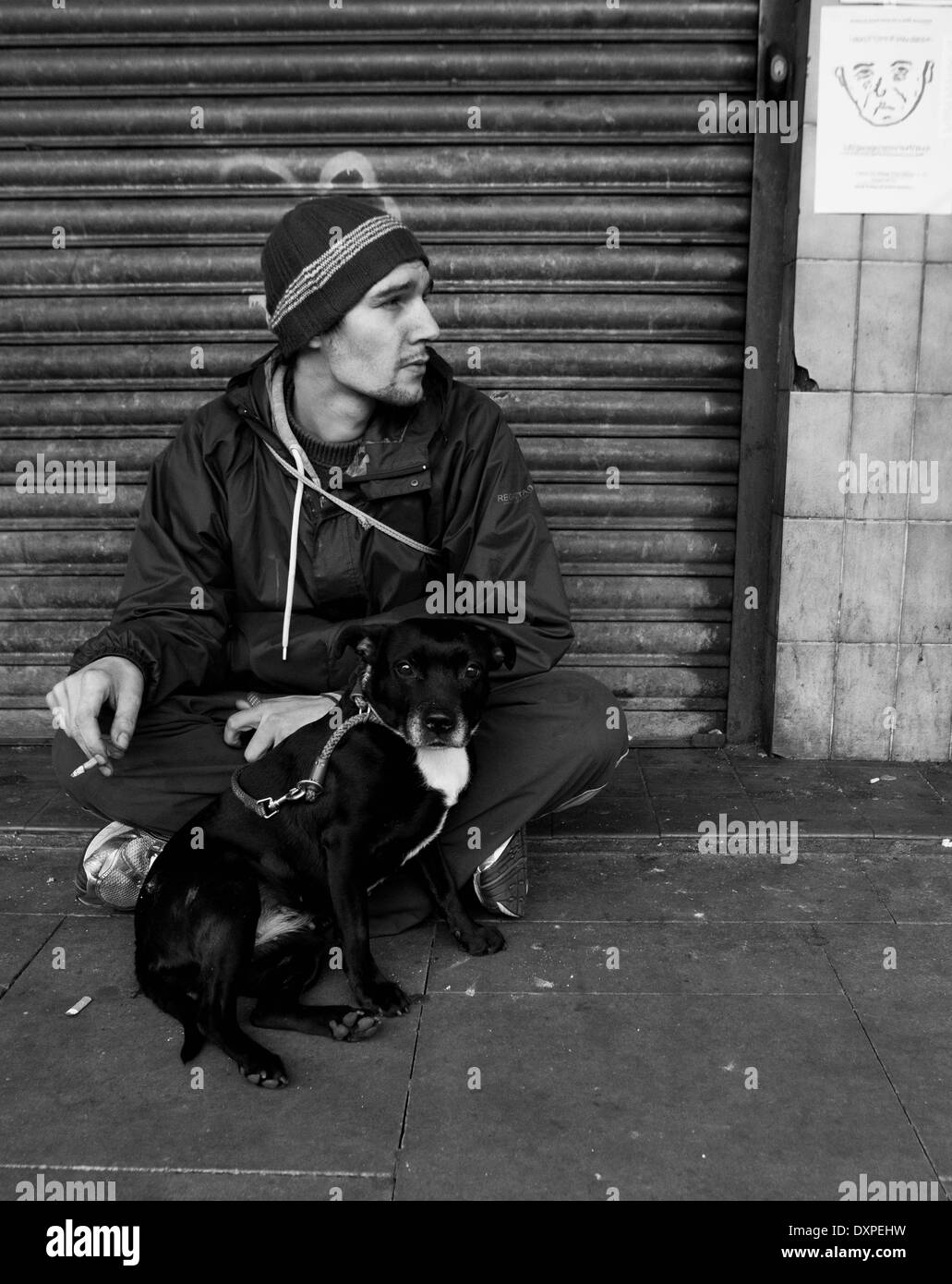 Personas sin hogar hombre sentado con su perro en la calle en Manchester. Foto de stock