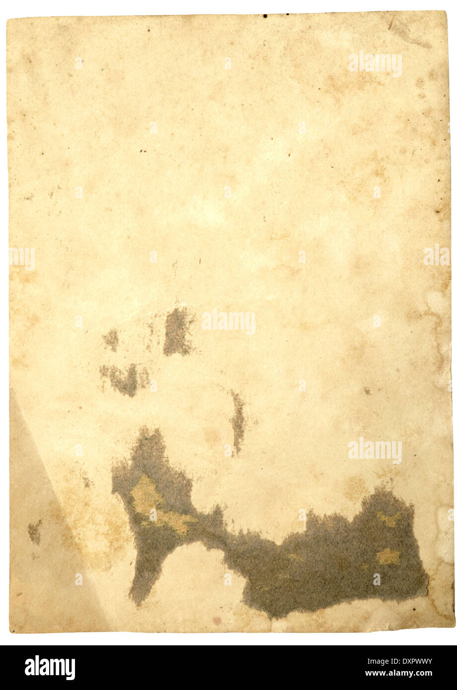Antiguo papel fotográfico en blanco Fotografía de stock - Alamy