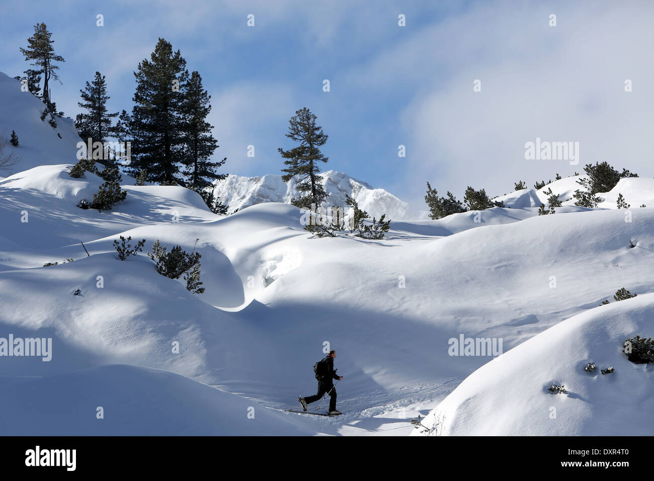 Obertraun, un hombre conduce esquís de fondo Foto de stock
